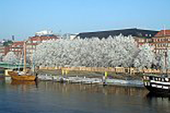 Fogelvrei Produktionen